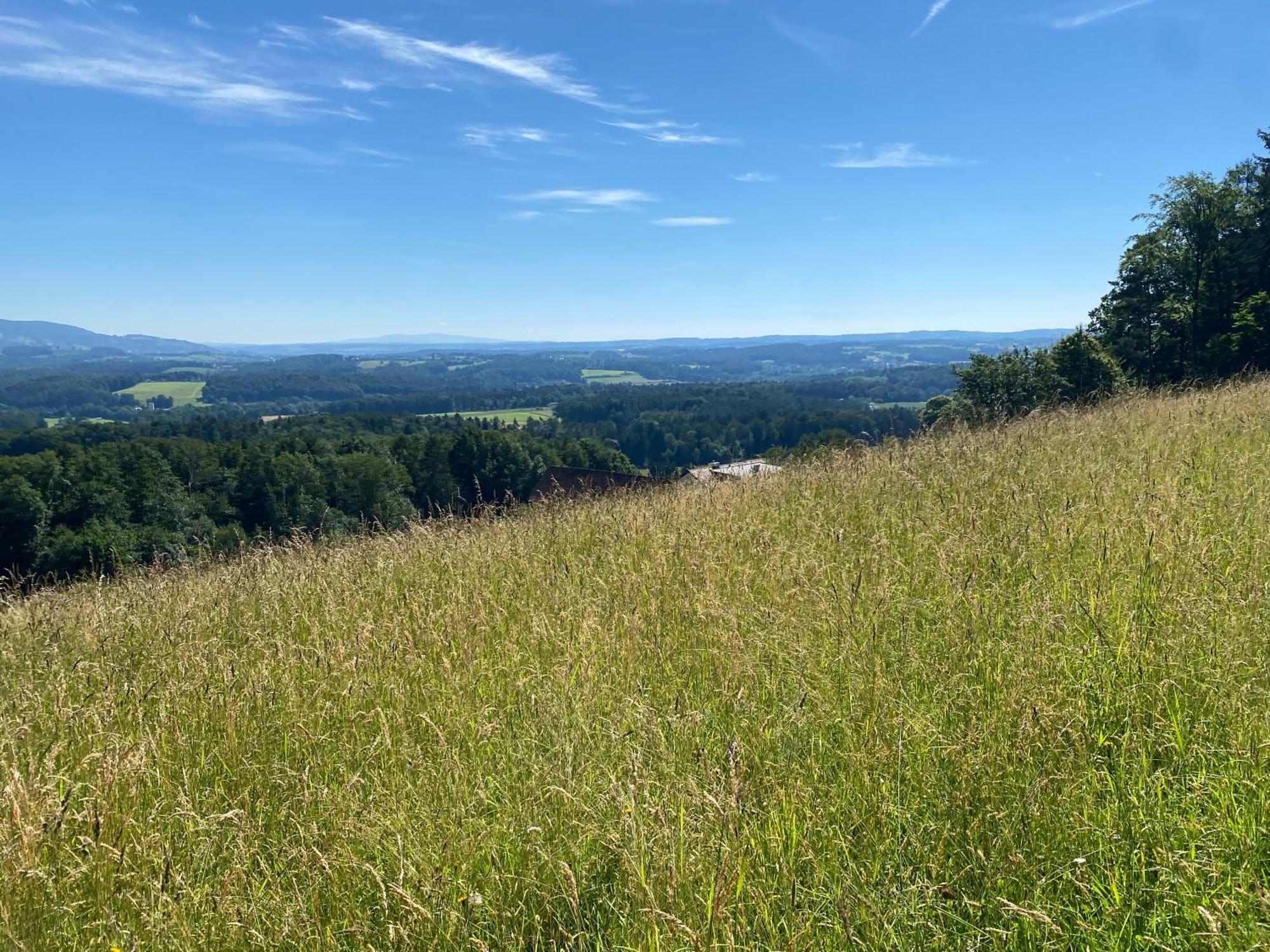 Wohnen Zwischen Golf Und Therme 바트월터스도 외부 사진