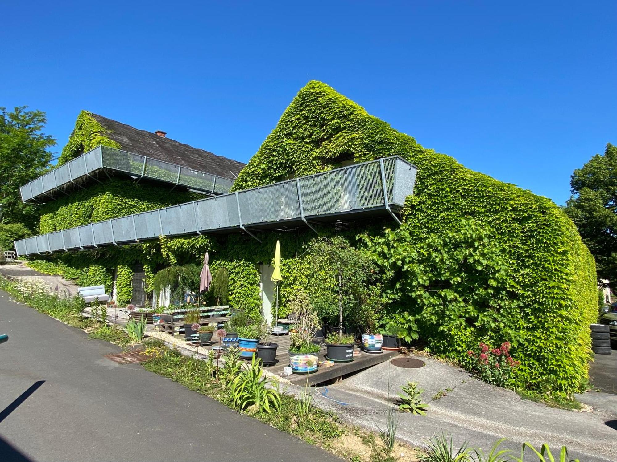 Wohnen Zwischen Golf Und Therme 바트월터스도 외부 사진